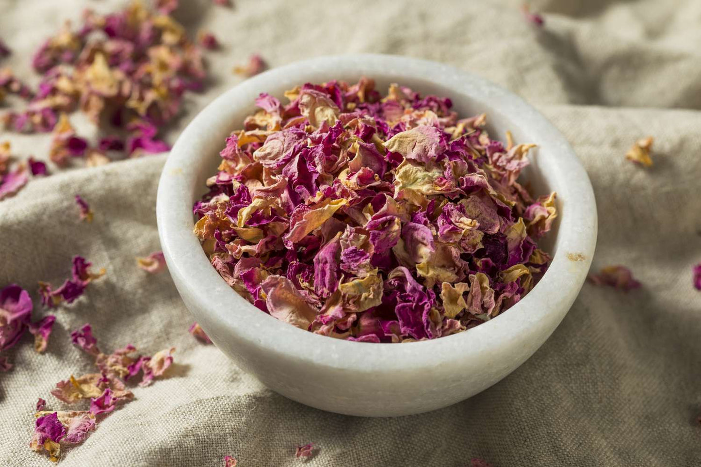 Spices & Herbs – For Ritual and Spell Work -- by Moon Water Apothecary!