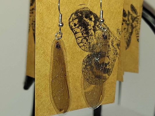 Moonlight Moth Wing Earrings