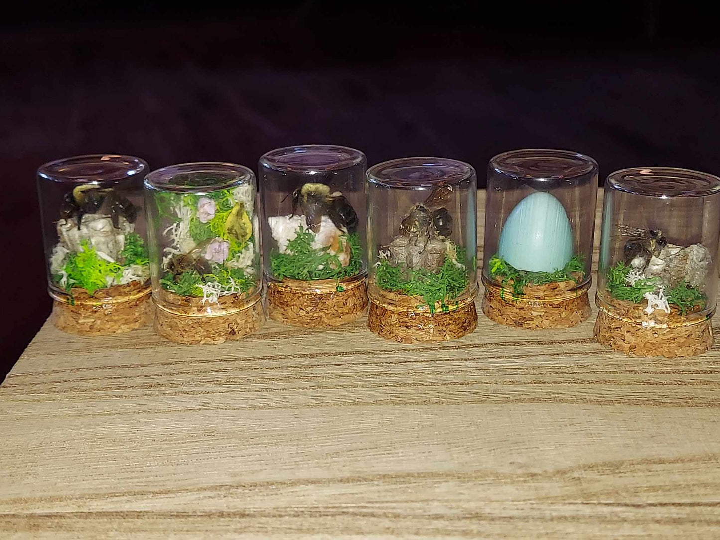 Moonlight Moth Jars