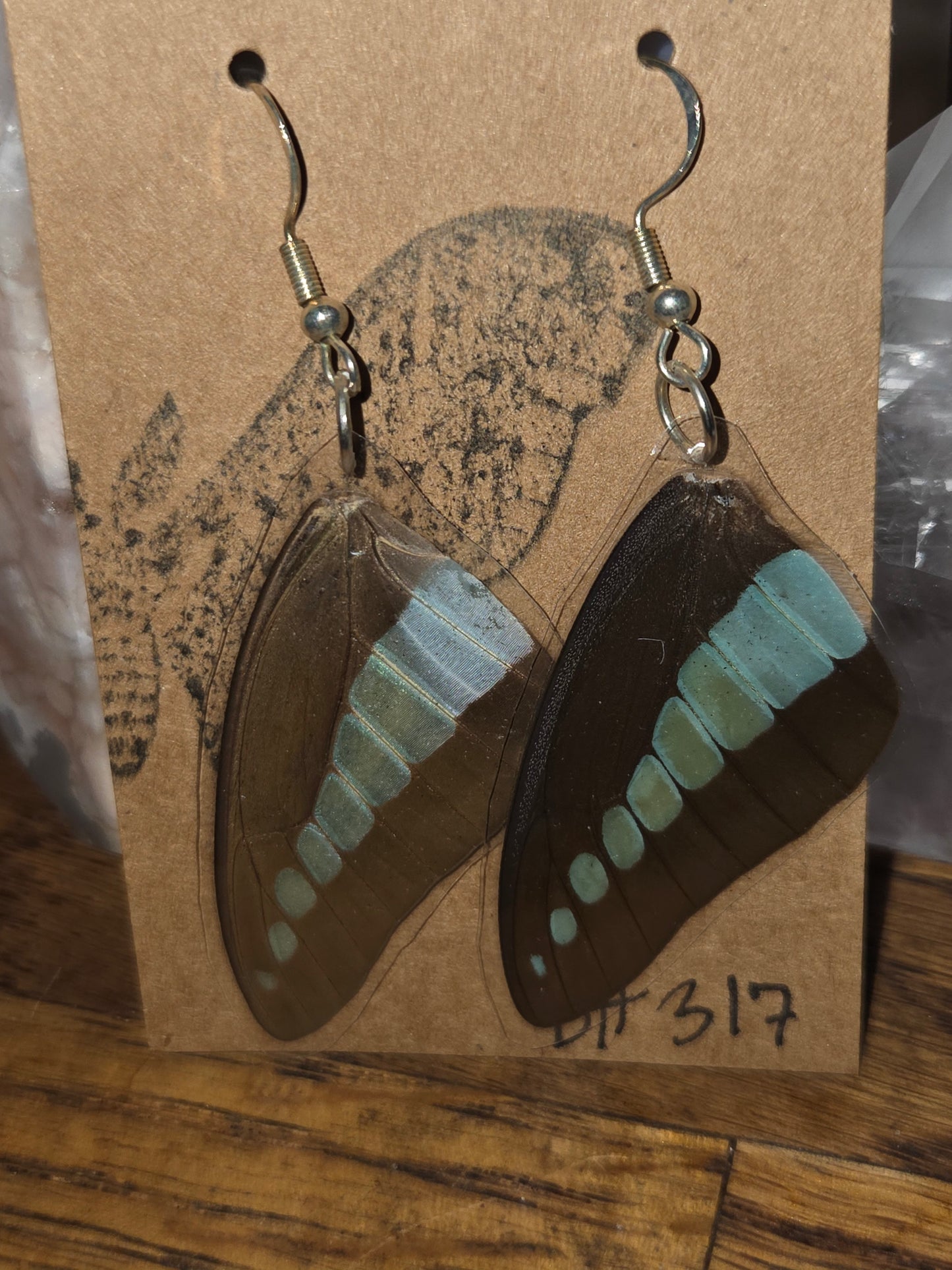 Moonlight Moth Real Butterfly Wing Earrings – Ethically Collected & Handmade