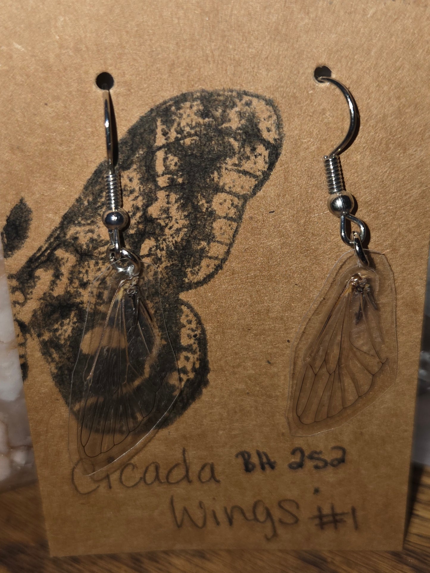 Moonlight Moth Real Cicada Wing Earrings – Ethically Collected & Handmade