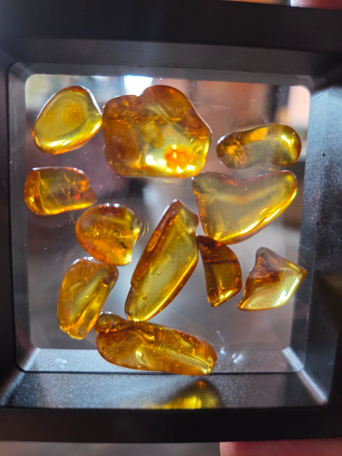 Baltic Amber Polished Chip – Genuine Fossilized Resin, Healing Crystal