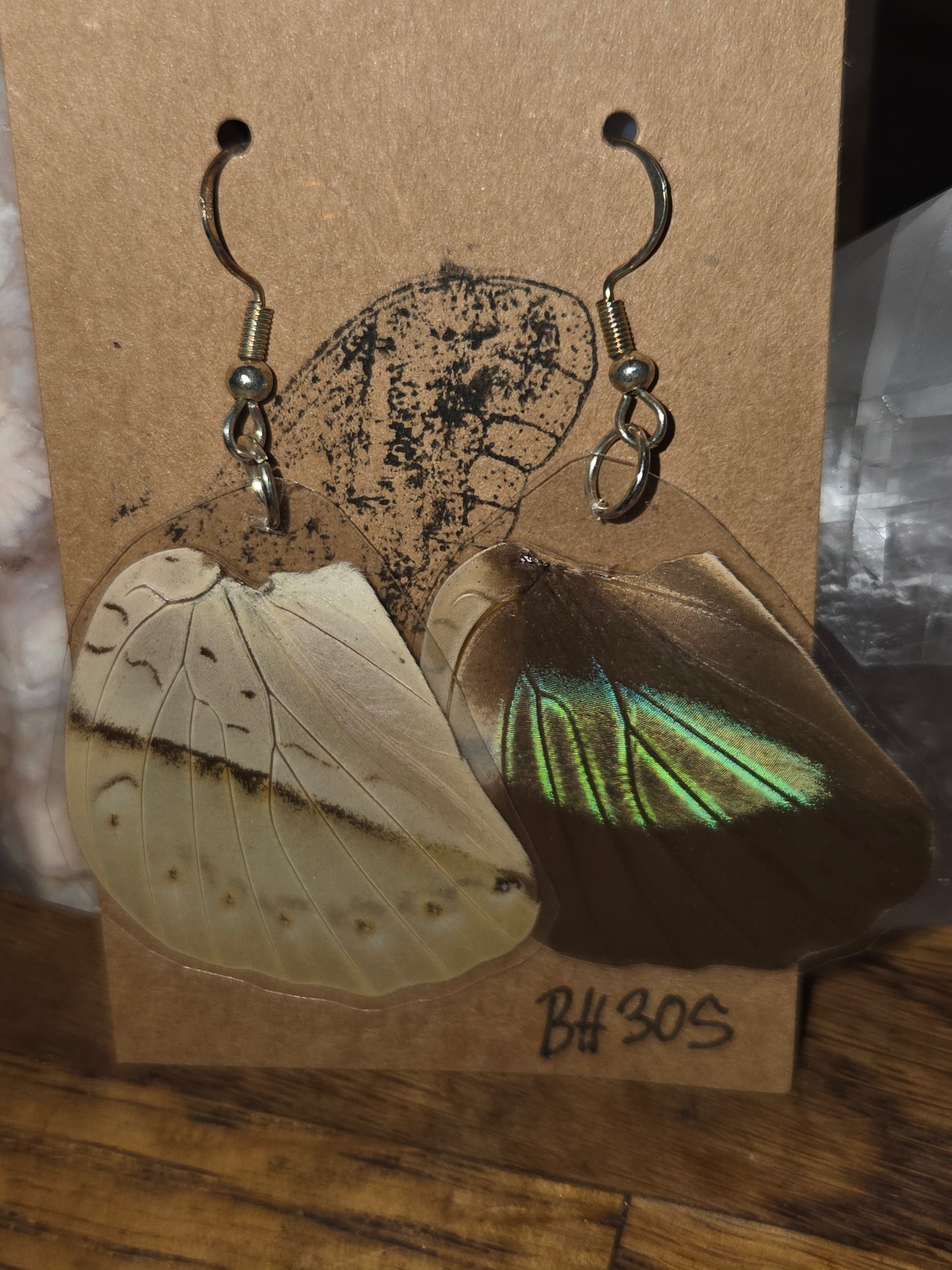 Moonlight Moth Real Butterfly Wing Earrings – Ethically Collected & Handmade
