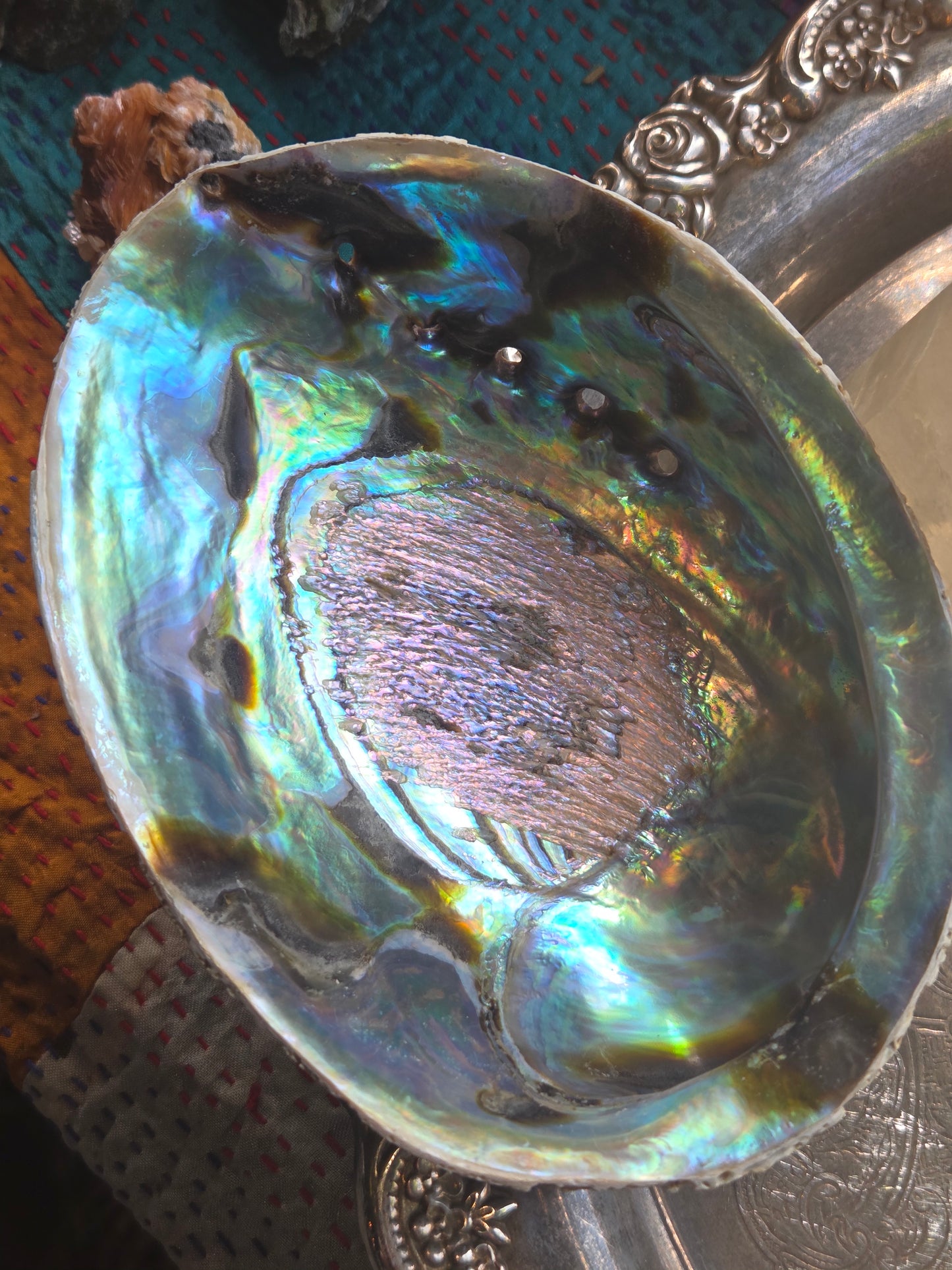 Abalone Shell Smudge Bowl (5–5.5”)