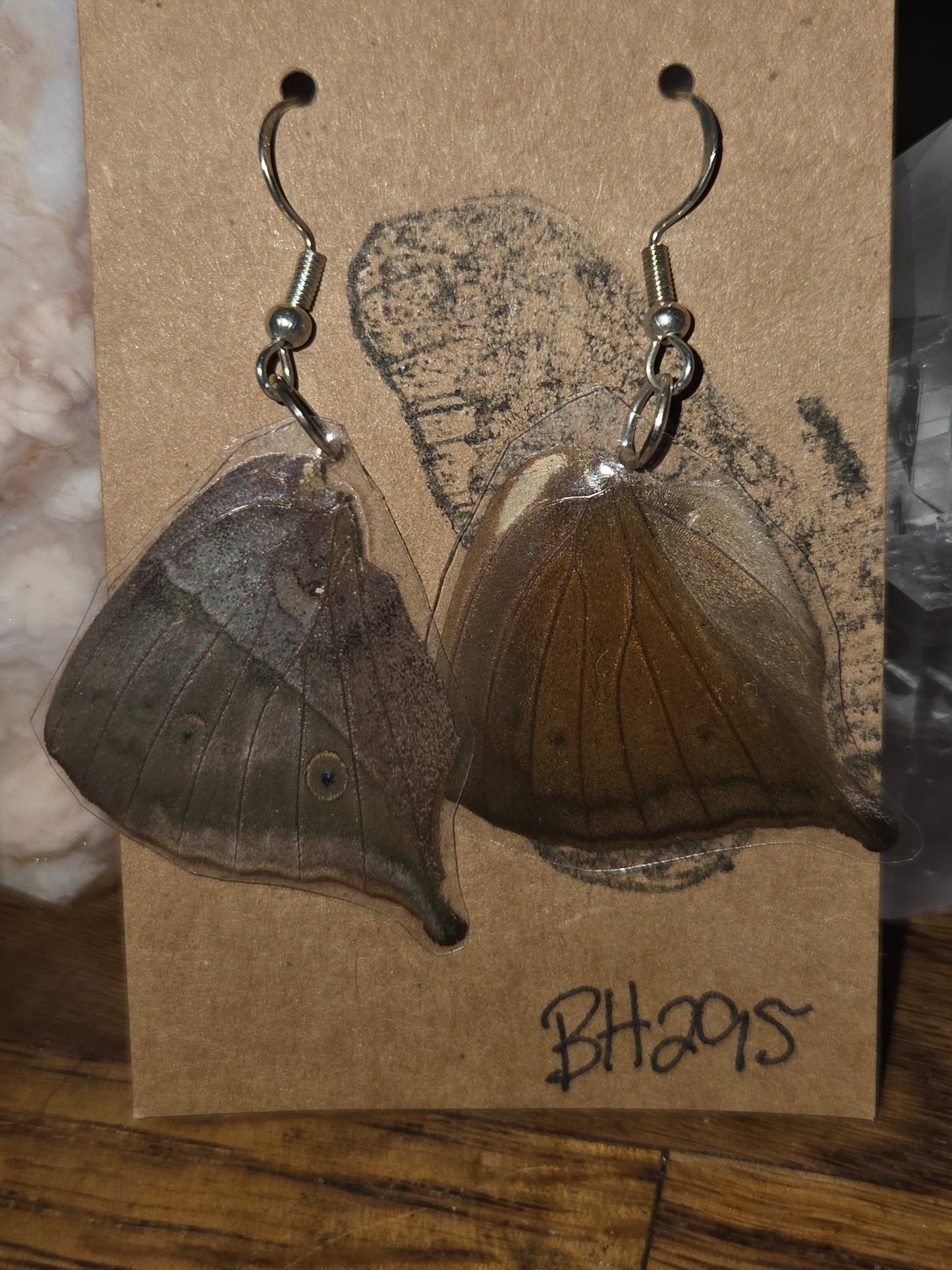 Moonlight Moth Real Butterfly Wing Earrings – Ethically Collected & Handmade