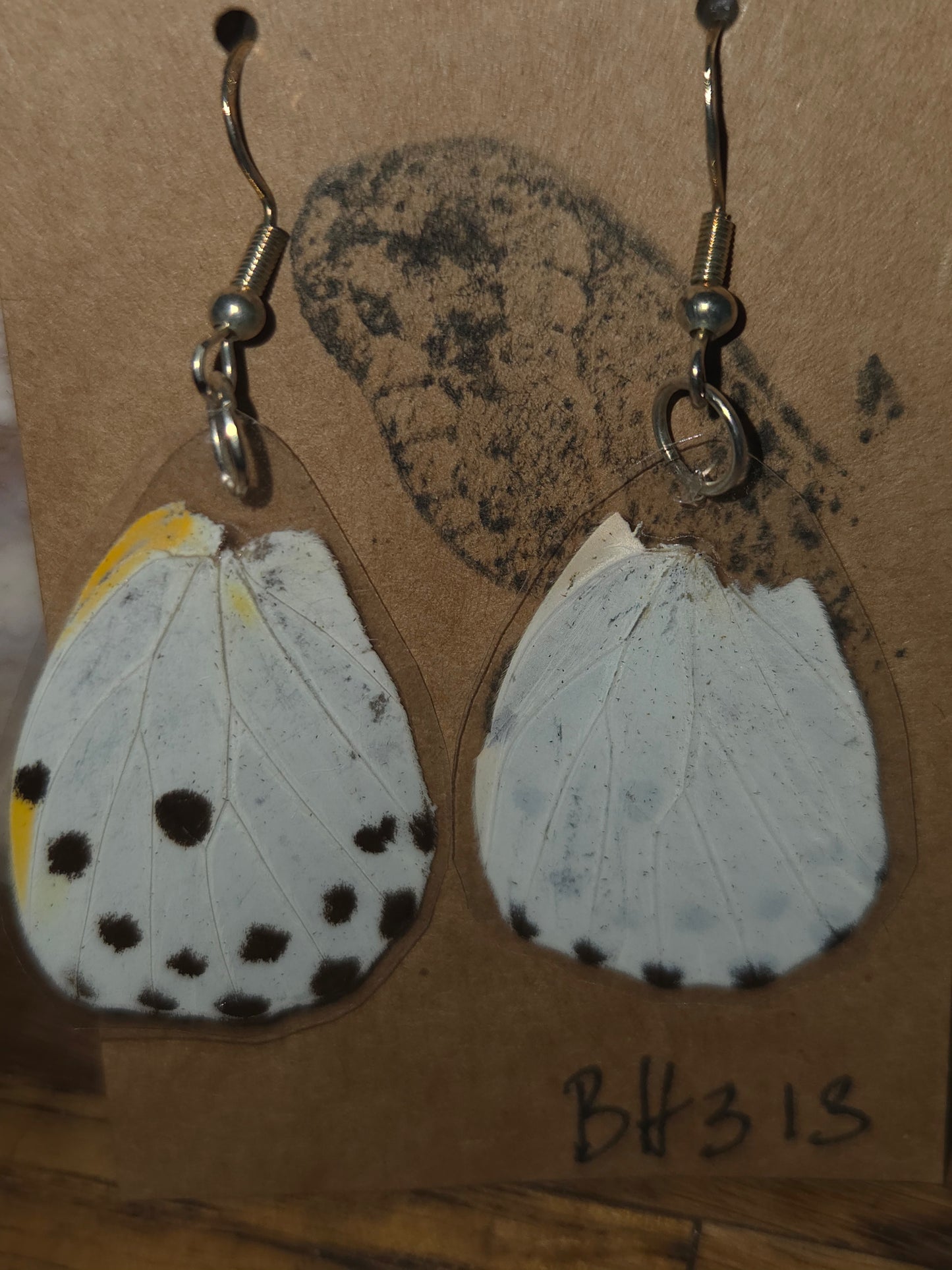 Moonlight Moth Real Butterfly Wing Earrings – Ethically Collected & Handmade