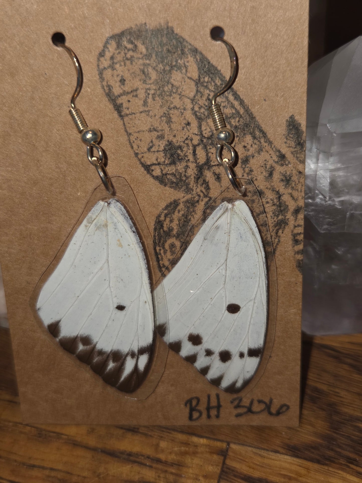 Moonlight Moth Real Butterfly Wing Earrings – Ethically Collected & Handmade