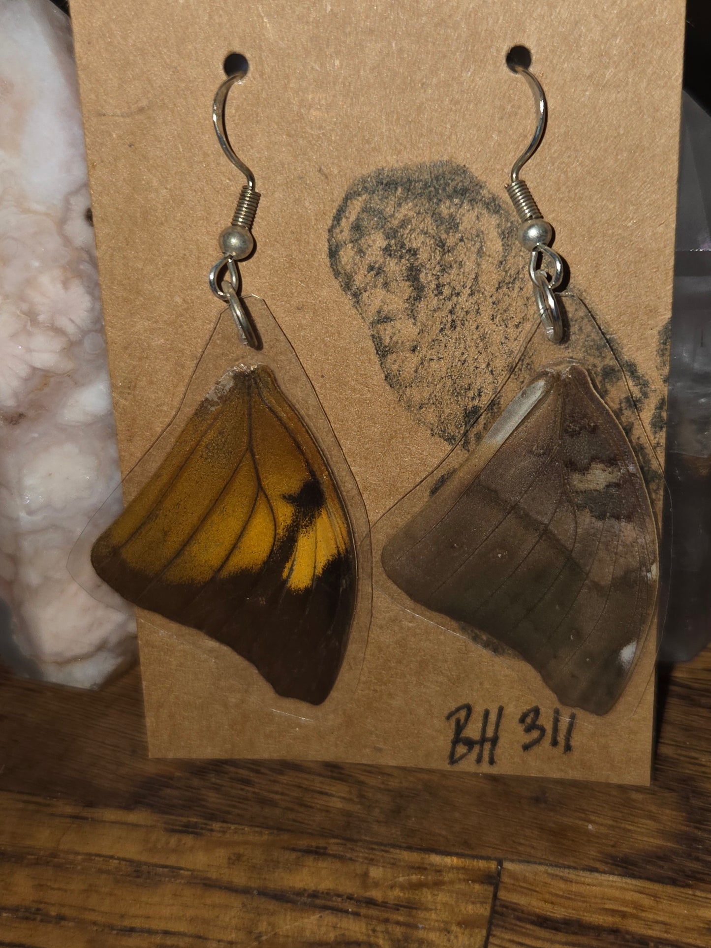 Moonlight Moth Real Butterfly Wing Earrings – Ethically Collected & Handmade