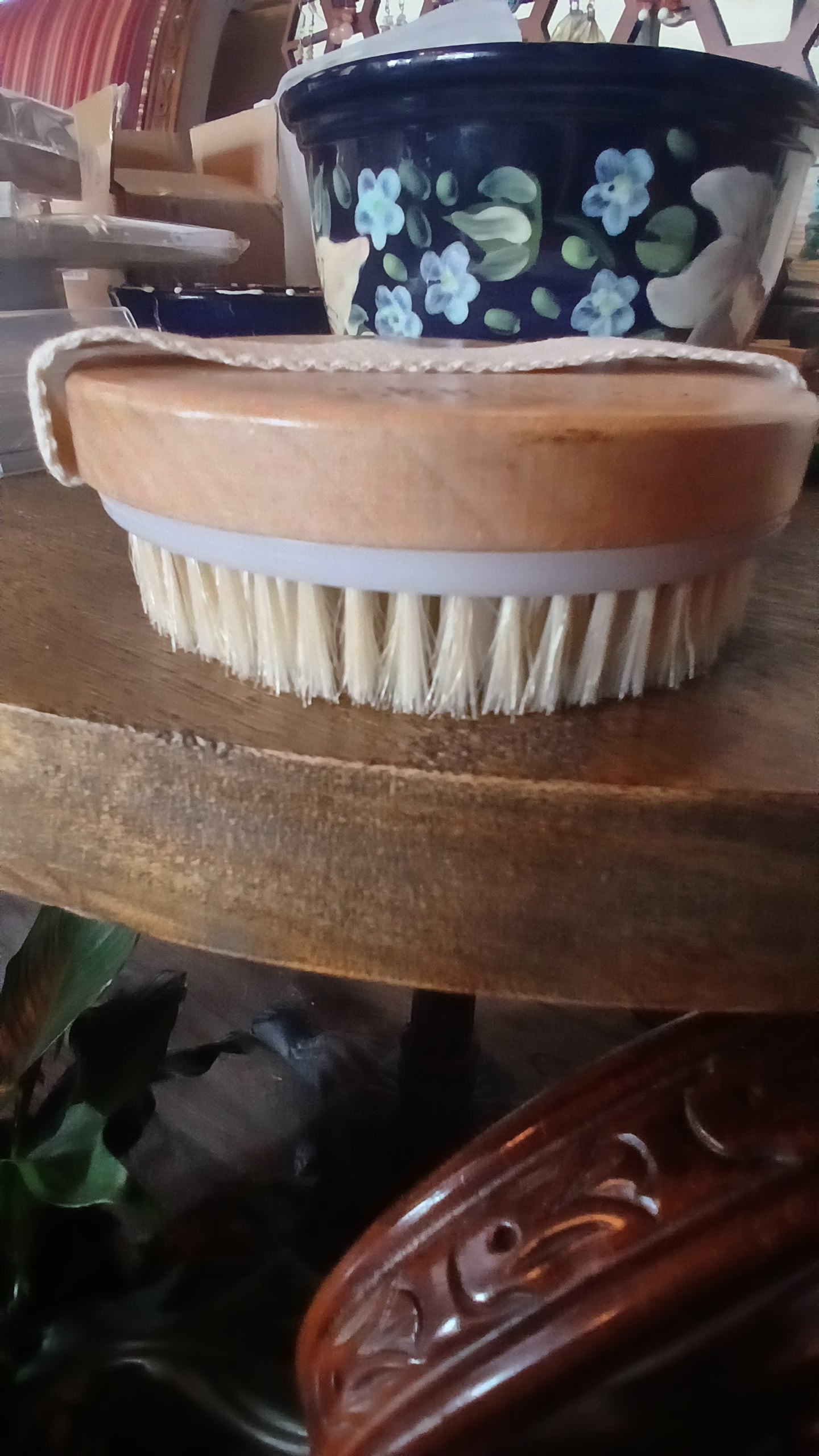 Lymphatic System Dry Brush