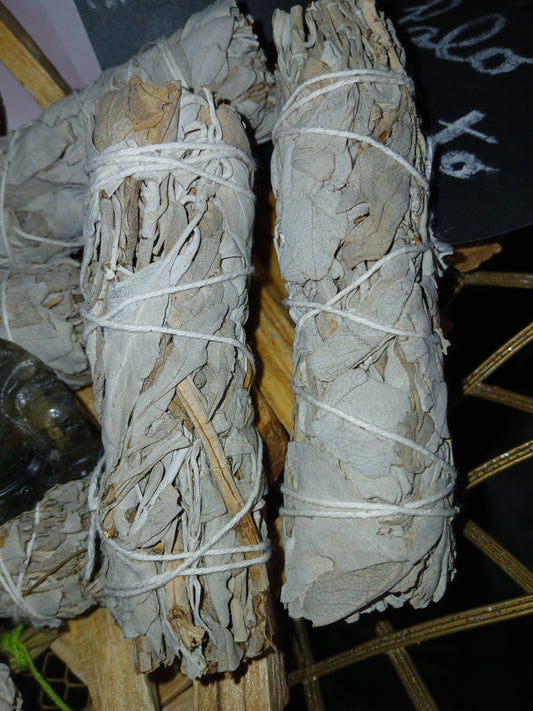 Organic White Sage Smudge Stick