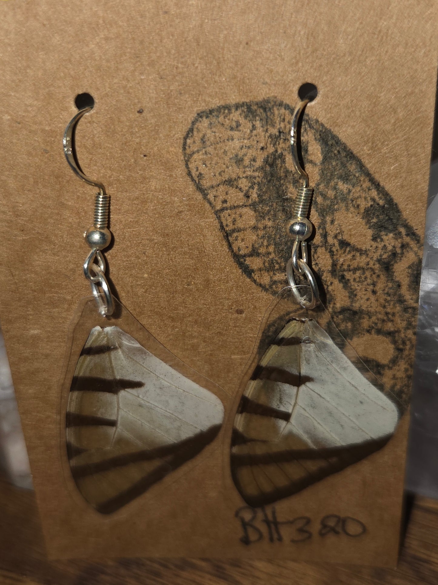 Moonlight Moth Real Butterfly Wing Earrings – Ethically Collected & Handmade