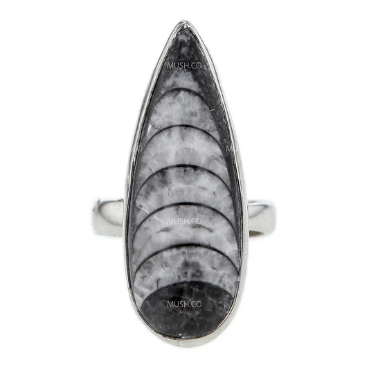 Orthoceras Ring