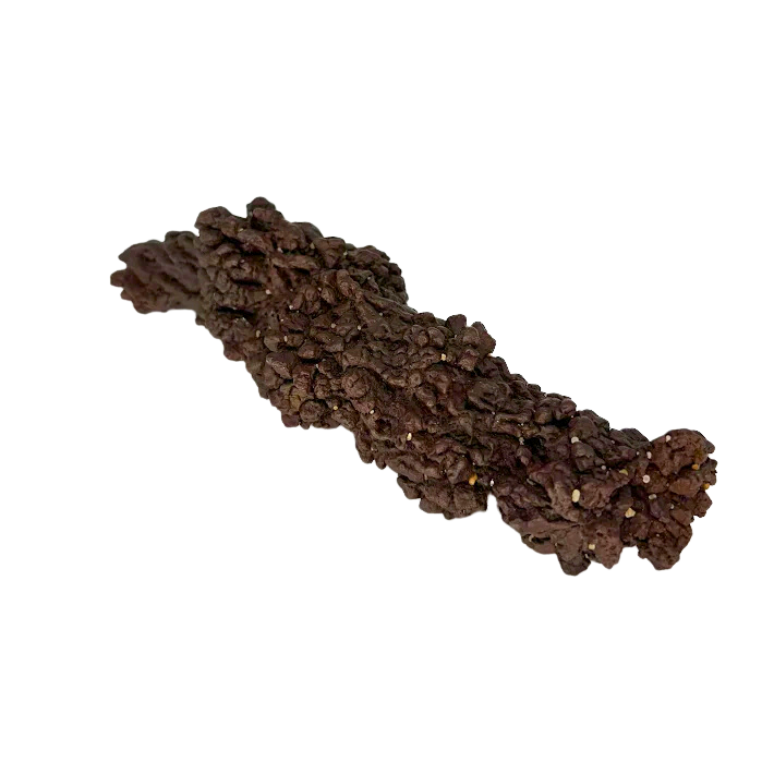 Giant Coprolite